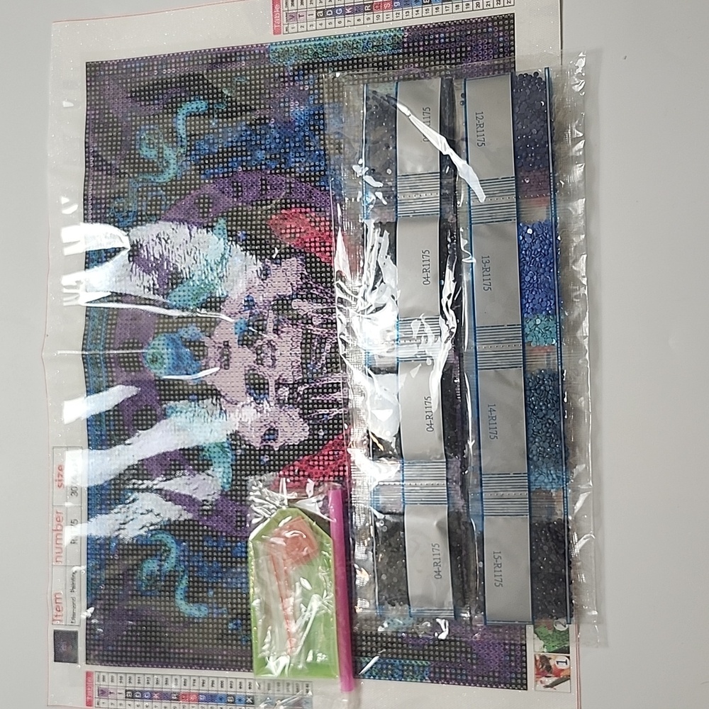 BN 2/$20 Skulls Diamond Art Kit 30 X 40cm - Picture 3 of 3